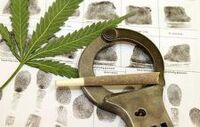 Cannabis3.jpg