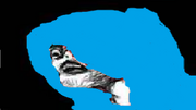 Inglap