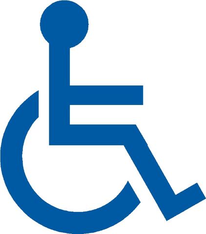 File:Handicap1.jpg