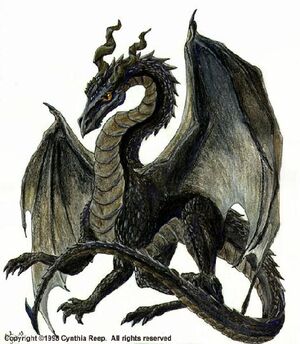 Duark