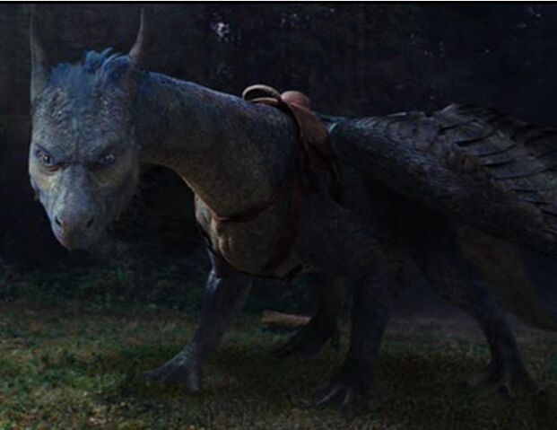 File:Saphira with Saddle.jpg