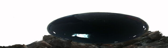 File:Initium BlackPuddingSlime.jpg