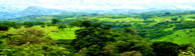 File:Banner---forest-plains1.jpg