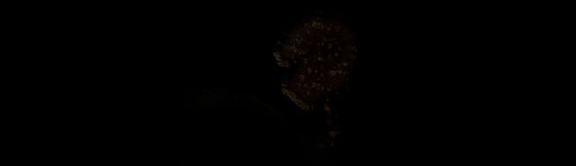 File:Troll Cave (5).jpg