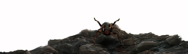 File:Initium Tarantula.jpg