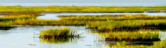 File:Banner---marsh2.jpg
