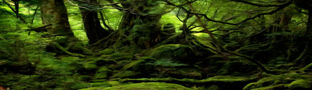 File:Initium Dense Jungle.jpg