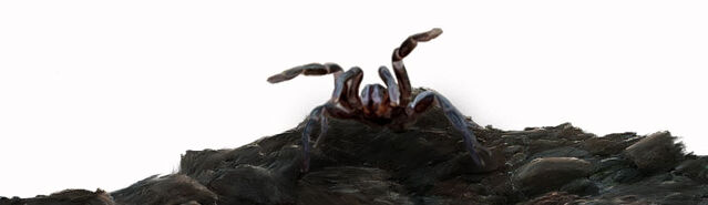 File:Initium LargeSpider.jpg