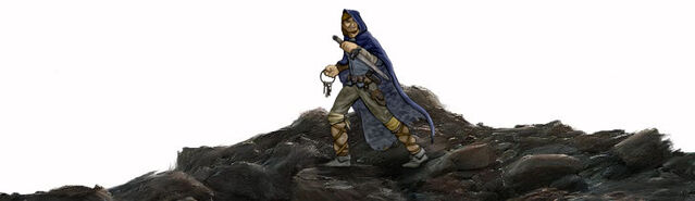 File:Npc-desert-bandit.jpg
