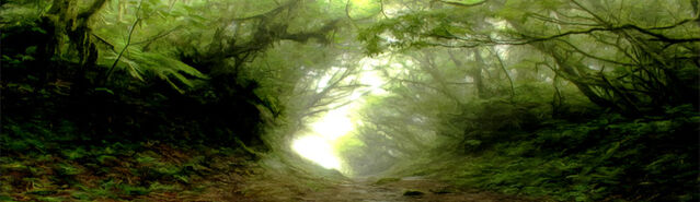 File:Banner---bushpath1.jpg