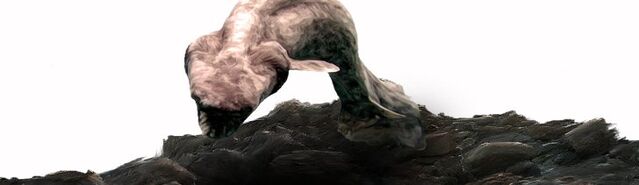 File:Npc-eel2.jpg