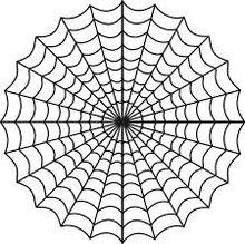Web