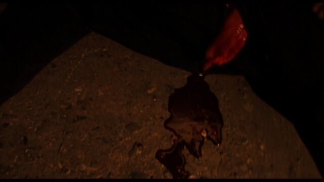 File:Screwdriver wound.jpg