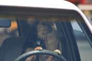 Dog-driving-dat-car