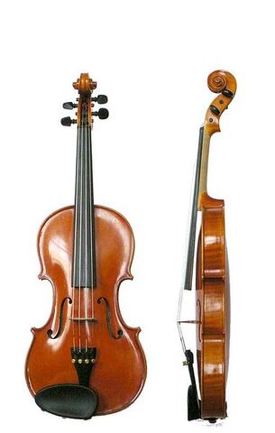 File:381px-Violin VL100.jpg