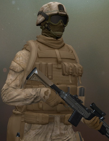 File:INS Security Designated Marksman.png