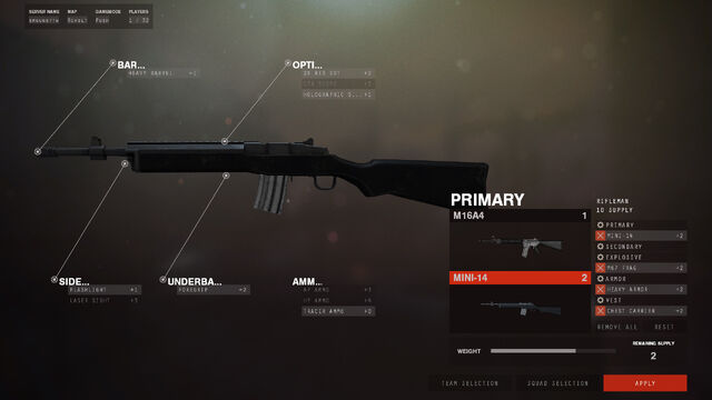 File:Mini-14 Iron.jpg