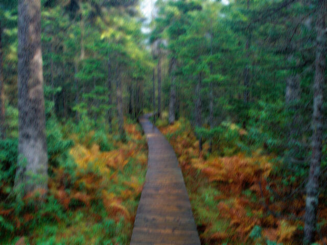 File:4.jpg