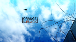 250px-OITNB-logo
