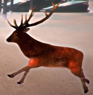 Deer Running