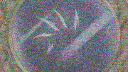 The goraishi.jpg