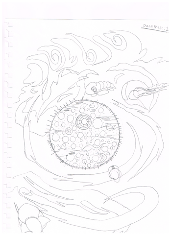 File:Dusq Design.png