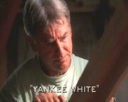 Yankee White