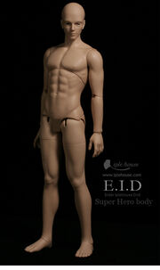 Eidbody-male