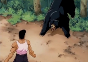 Encounter with bear