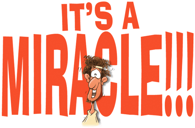 File:Its-a-miracle-dude.gif