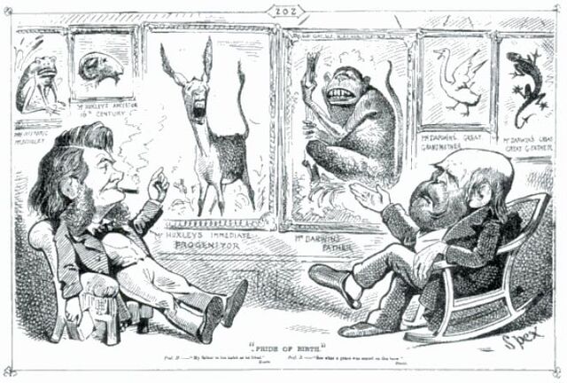 File:O'Hea-1876-77-Pride-of-Birth.jpg