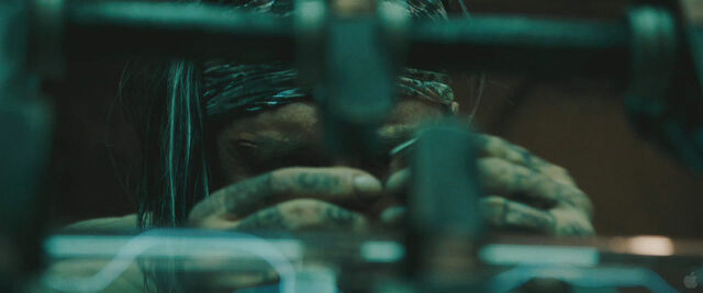 File:Trailer1-41.jpg