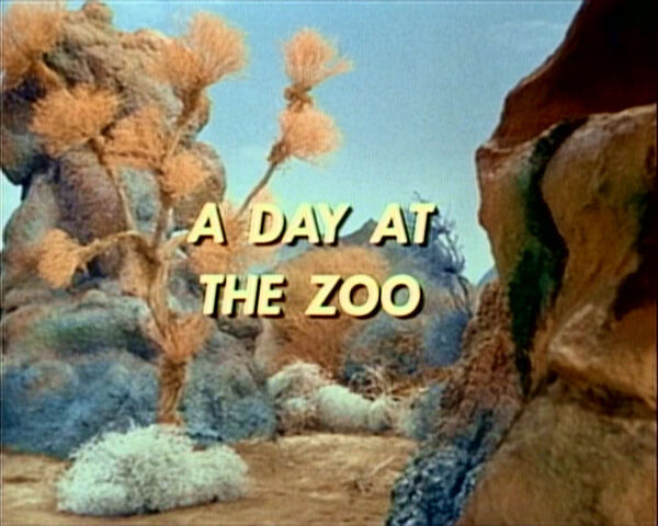 File:Day at the zoo.jpg