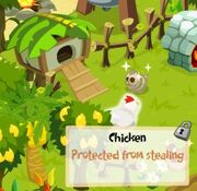 Chiccoop