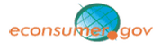 E-consumer