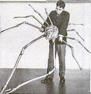 220px-Japanese spider crab