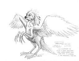 Harpy