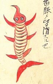 180px-Akuchu