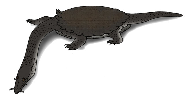File:6775798 orig.jpg