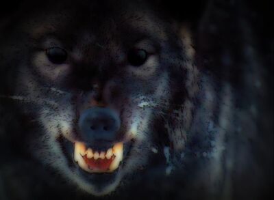 Snarly-Yowl