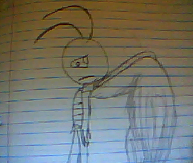 Rex