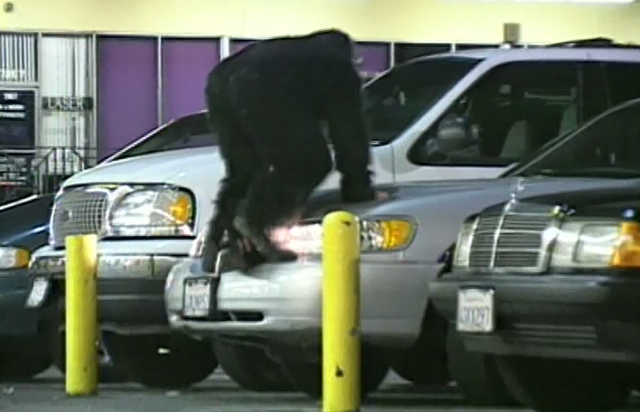 File:Night monkey car alarms.png