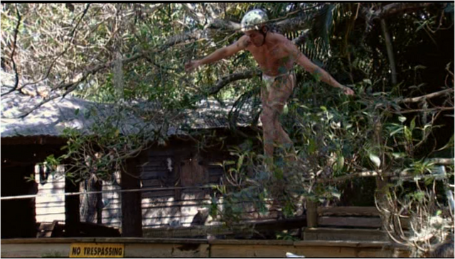 File:Alligator Tightrope.png