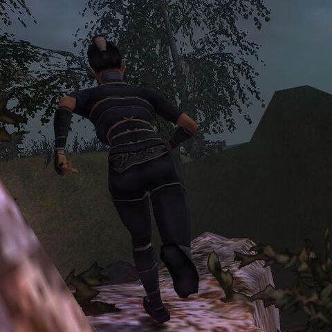 File:SilkFoxRunning.jpg