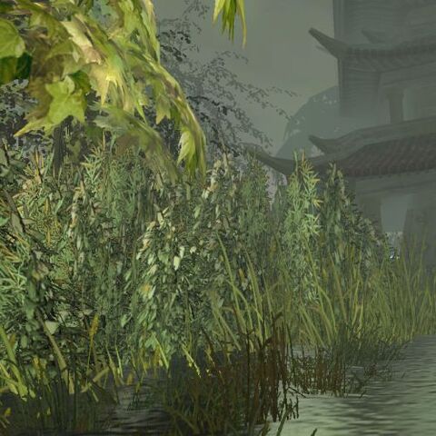 File:Swamp1.jpg