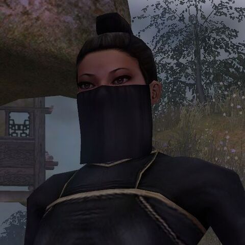File:SilkFoxMasked.jpg