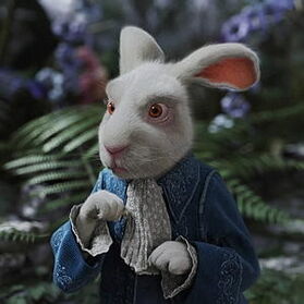 Rabbit--300x300