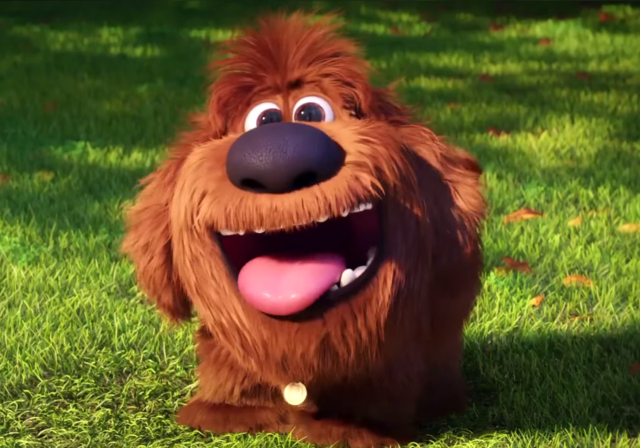 Duke (The Secret Life of Pets) | Jaden's Adventures Wiki | FANDOM