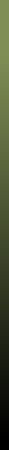 File:Wikibg.jpg