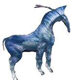 Konik.jpg